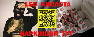 прущие грибы Нарткала