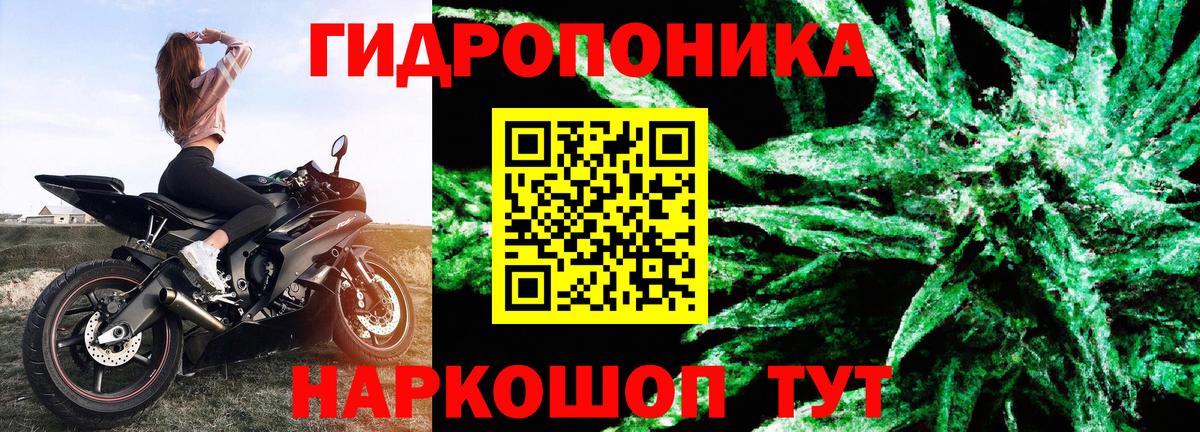 Шишки марихуана VHQ  Вход с VPN  Великий Новгород  Шишки марихуана ГИДРОПОН 